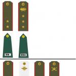 Как различать воинские звания армии сша